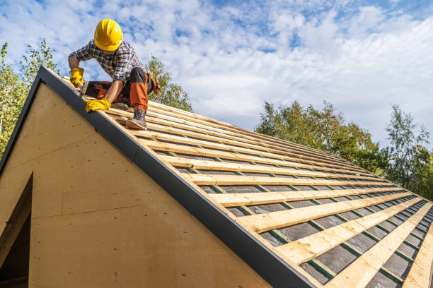 Quick and Trustworthy Emergency Roof Repair Services in Valrico, FL