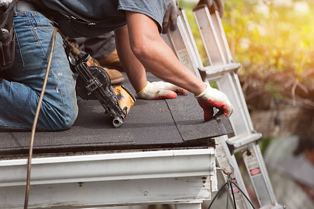 Quick and Trustworthy Emergency Roof Repair Services in Valrico, FL